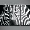 Zebra Wall Art Canvas (Photo 7 of 15)