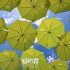 Zeman Market Umbrellas (Photo 23 of 25)